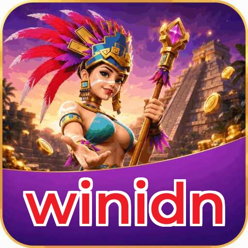 Troubleshooting - winidn Optimization Tips